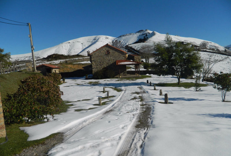 Exterior cabaña Coterón