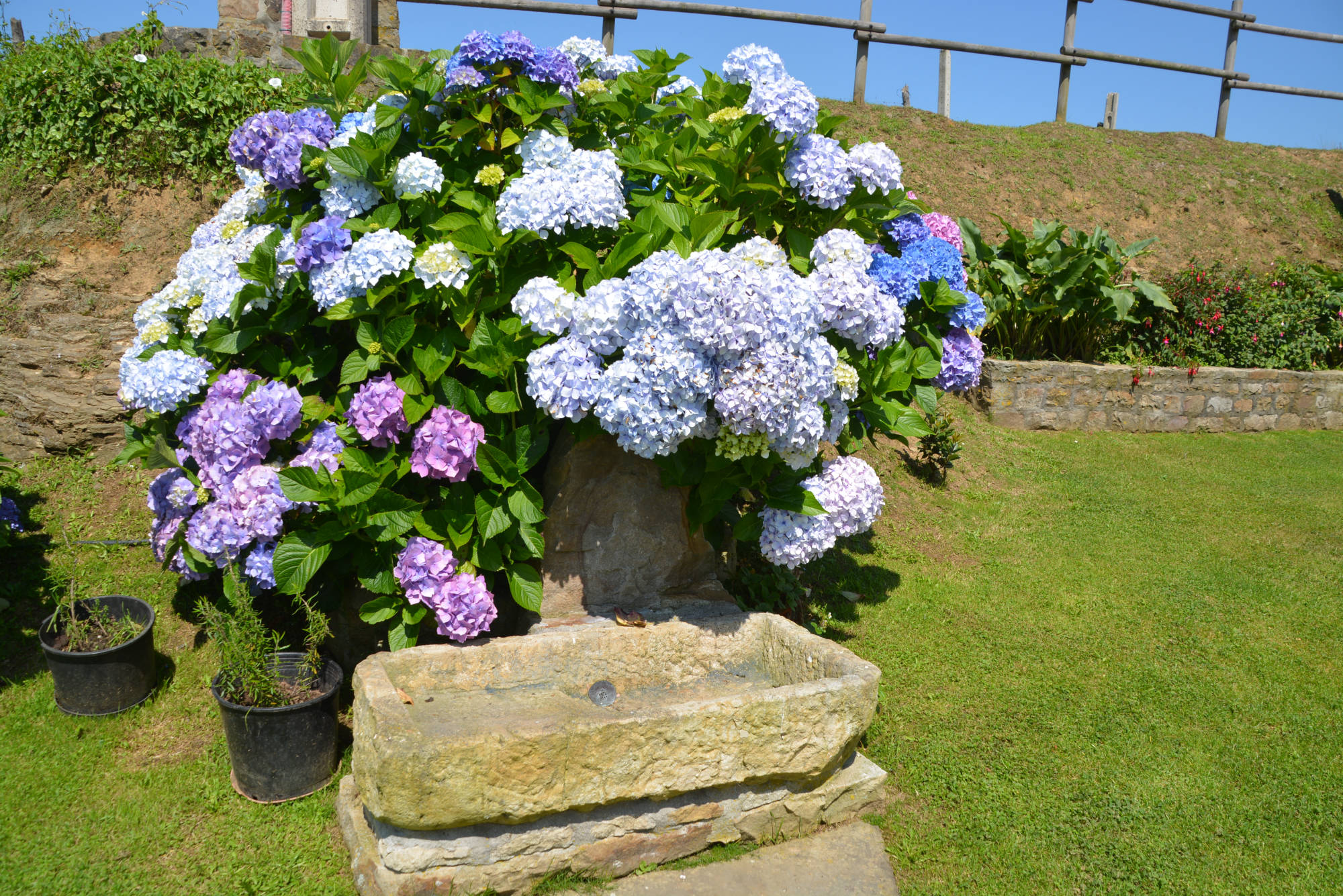 Fuente cabaña Coterón